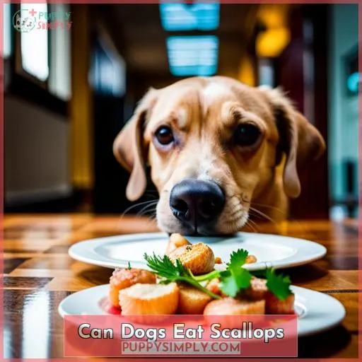 can dogs eat scallops