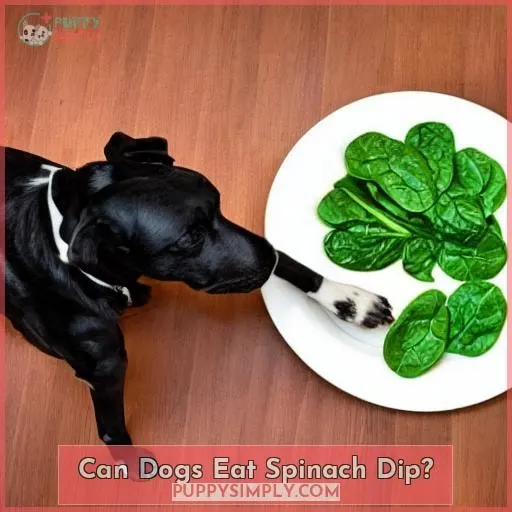 can dogs eat spinach dip