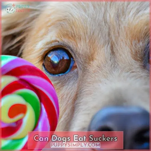 can dogs eat suckers