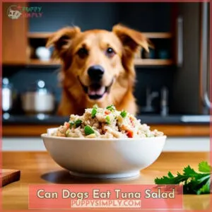 can dogs eat tuna salad