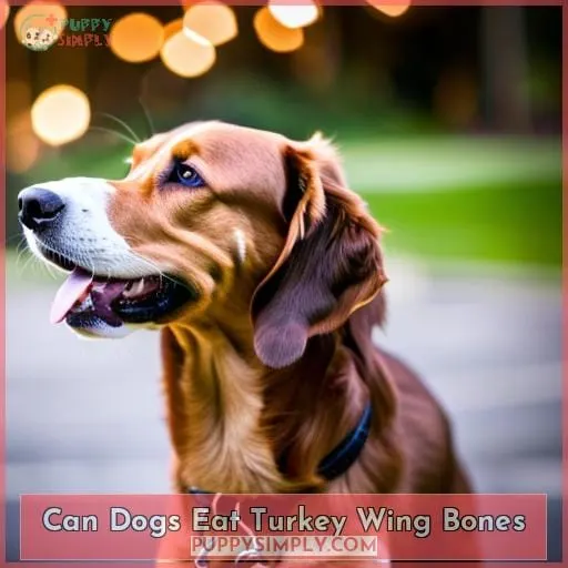 can dogs eat turkey wing bones
