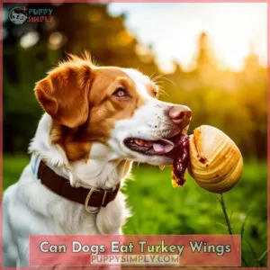 can dogs eat turkey wings