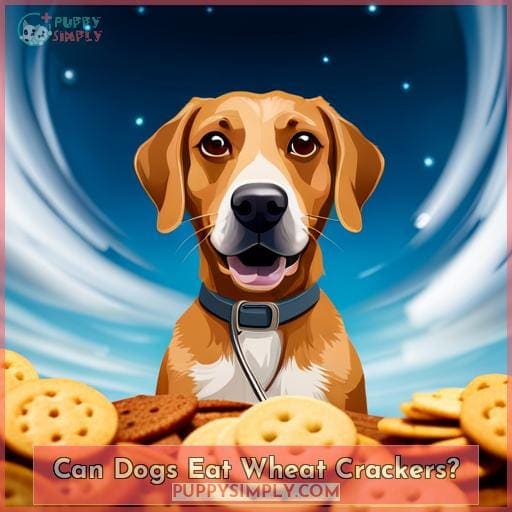 Can Dogs Eat Wheat Crackers?