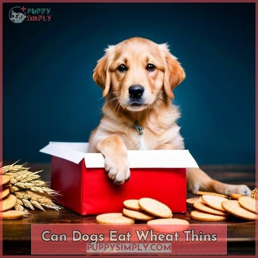 Can my dog shop eat wheat thins