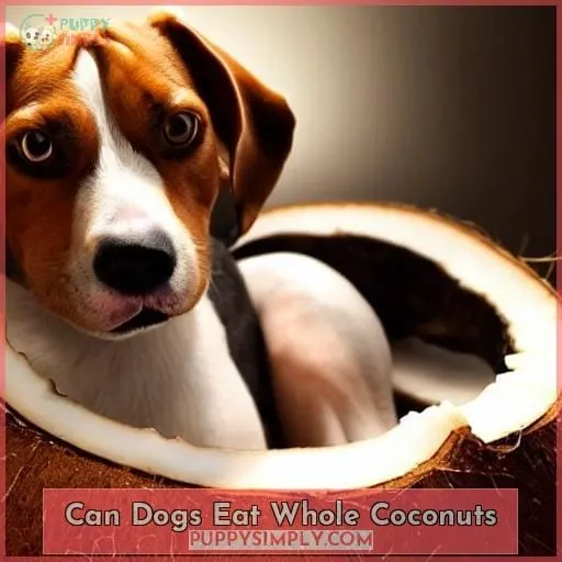 can dogs eat whole coconuts