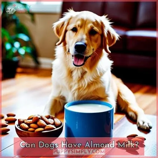 Can Dogs Have Almond Milk?
