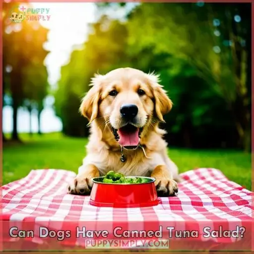 Can Dogs Have Canned Tuna Salad?