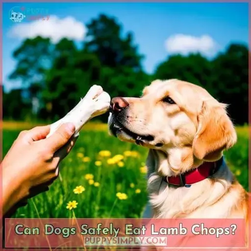 Can Dogs Safely Eat Lamb Chops?