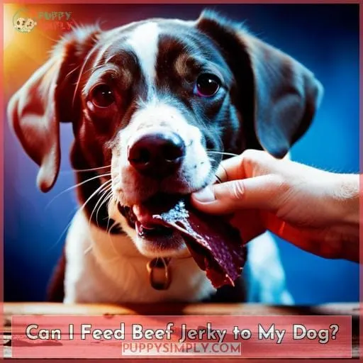Can I Feed Beef Jerky to My Dog?
