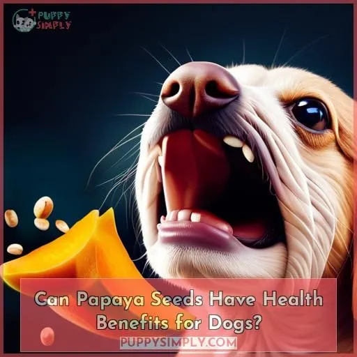Can Papaya Seeds Have Health Benefits for Dogs?
