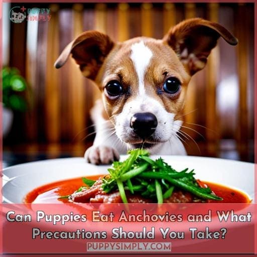 Can Puppies Eat Anchovies and What Precautions Should You Take?