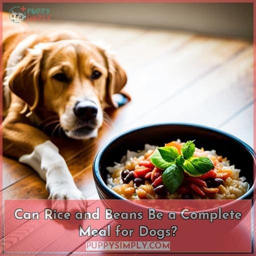 Can Dogs Eat Rice and Beans? A Veterinarian's Guide to Nutrition and