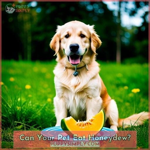 Can Your Pet Eat Honeydew? Can Your Pet Eat Honeydew?