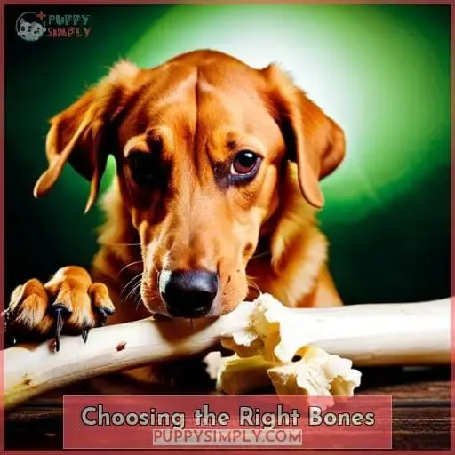 Choosing the Right Bones