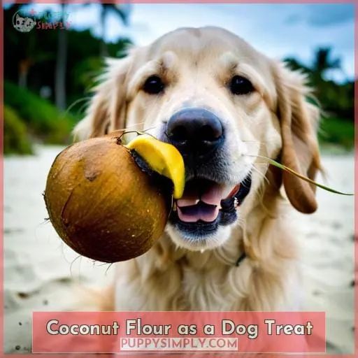 Coconut Flour as a Dog Treat
