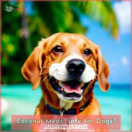 Coconut Meat: Safe for Dogs?