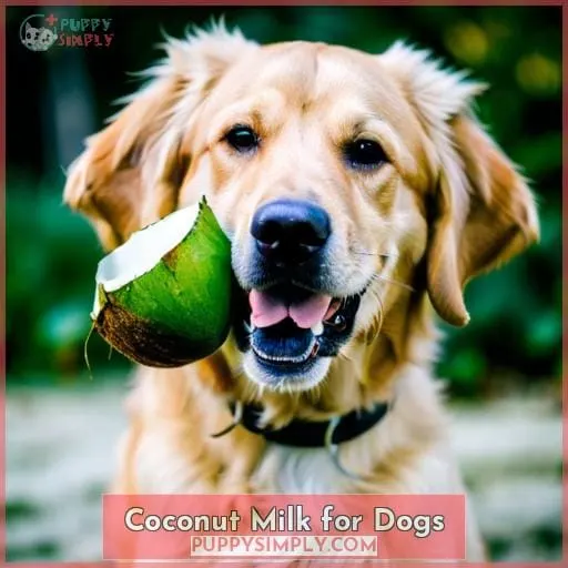 Coconut Milk for Dogs