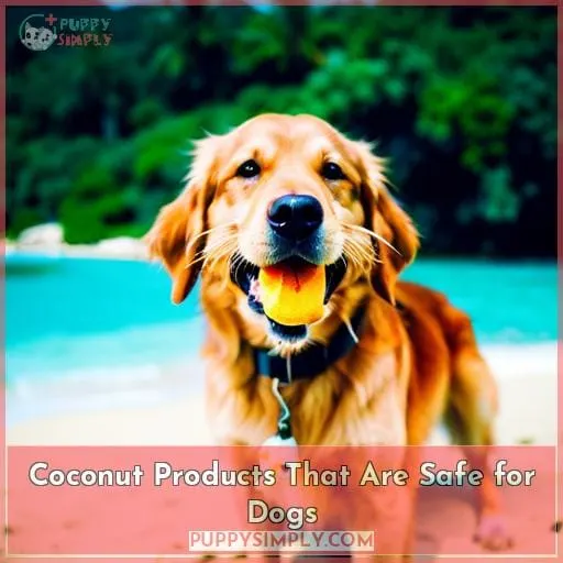 Coconut Products That Are Safe for Dogs
