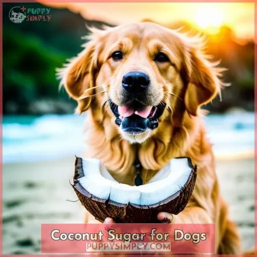 Coconut Sugar for Dogs