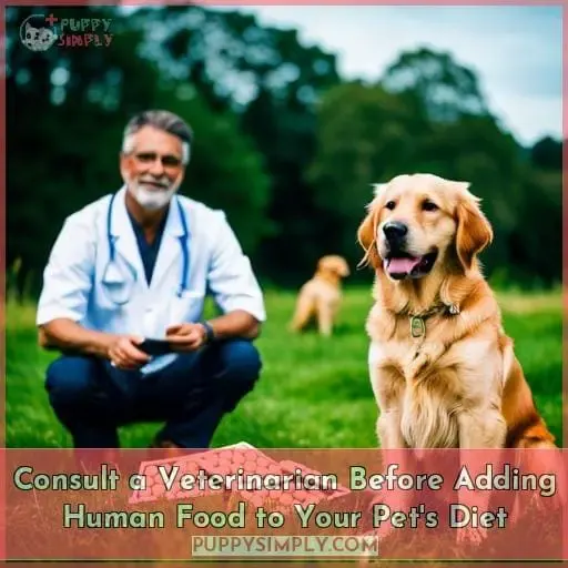 Consult a Veterinarian Before Adding Human Food to Your Pet