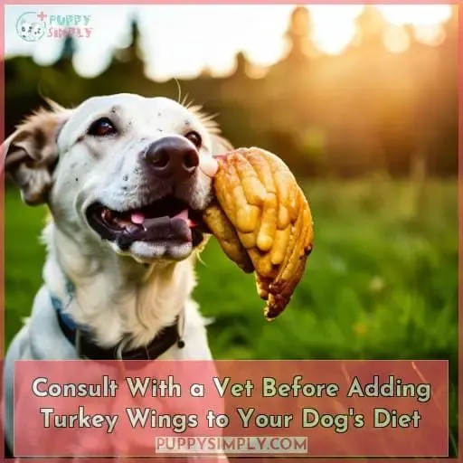 Consult With a Vet Before Adding Turkey Wings to Your Dog