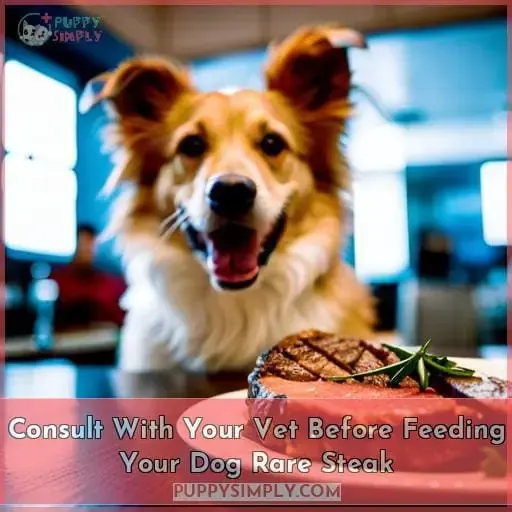 Consult With Your Vet Before Feeding Your Dog Rare Steak