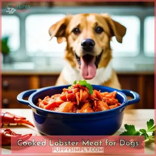 Cooked Lobster Meat for Dogs