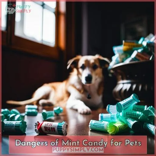 Dangers of Mint Candy for Pets