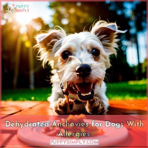 Dehydrated Anchovies for Dogs With Allergies
