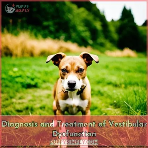 Diagnosis and Treatment of Vestibular Dysfunction
