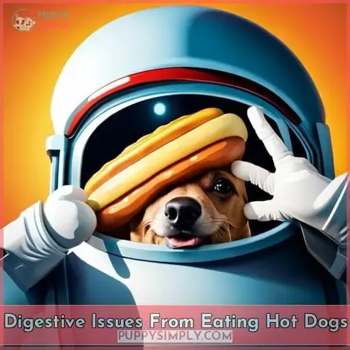 Digestive Issues From Eating Hot Dogs