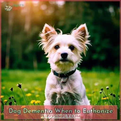 Dog Dementia When to Euthanize