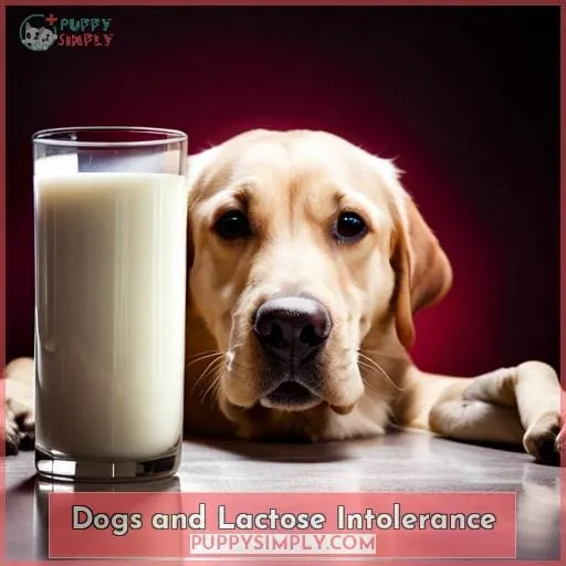 Dogs and Lactose Intolerance