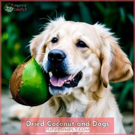 Dried Coconut and Dogs