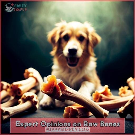 Expert Opinions on Raw Bones