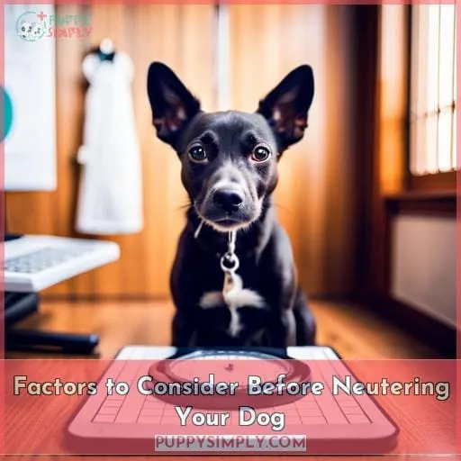 Factors to Consider Before Neutering Your Dog