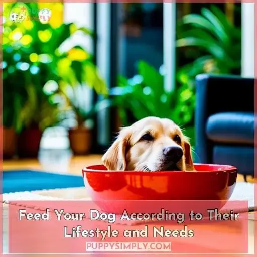 Feed Your Dog According to Their Lifestyle and Needs