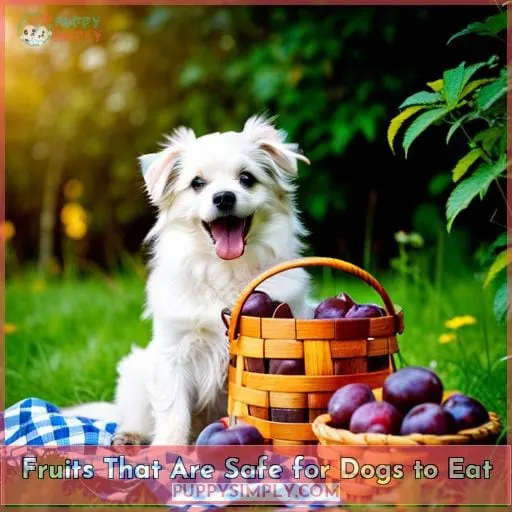 Fruits That Are Safe for Dogs to Eat