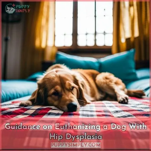 Guidance on Euthanizing a Dog With Hip Dysplasia