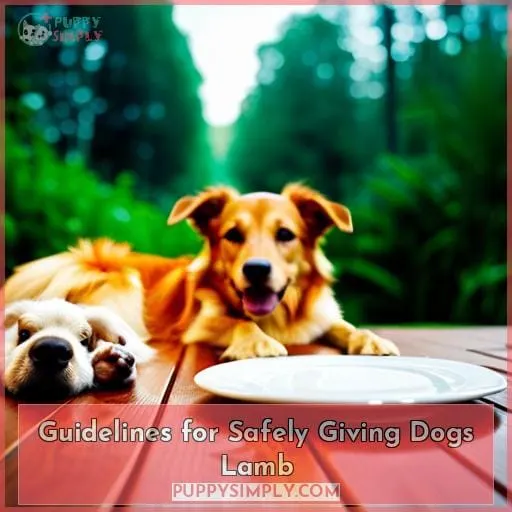 Guidelines for Safely Giving Dogs Lamb