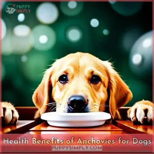 Health Benefits of Anchovies for Dogs