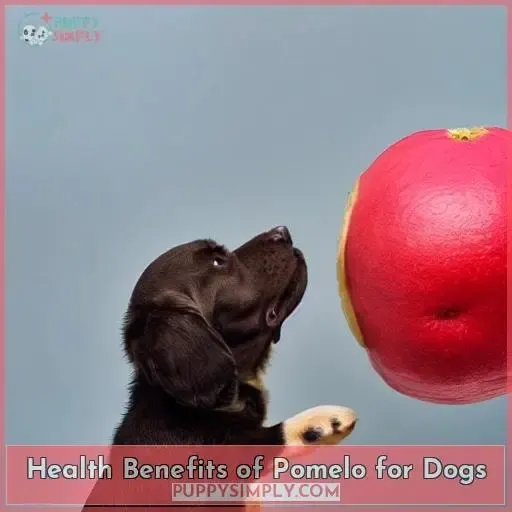 Health Benefits of Pomelo for Dogs