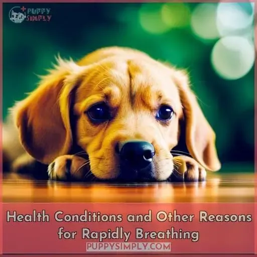 Health Conditions and Other Reasons for Rapidly Breathing