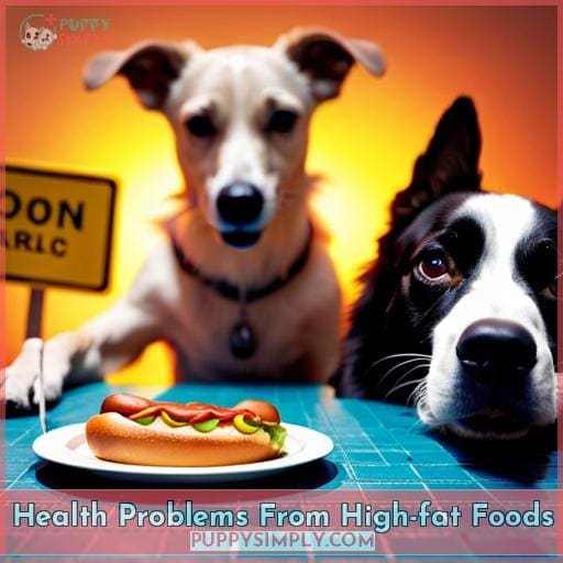 Health Problems From High-fat Foods