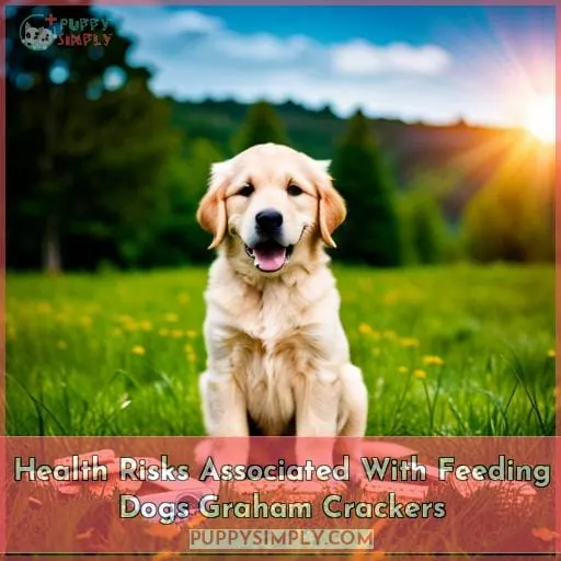 Health Risks Associated With Feeding Dogs Graham Crackers