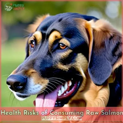 Health Risks of Consuming Raw Salmon