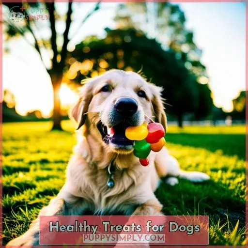 Healthy Treats for Dogs