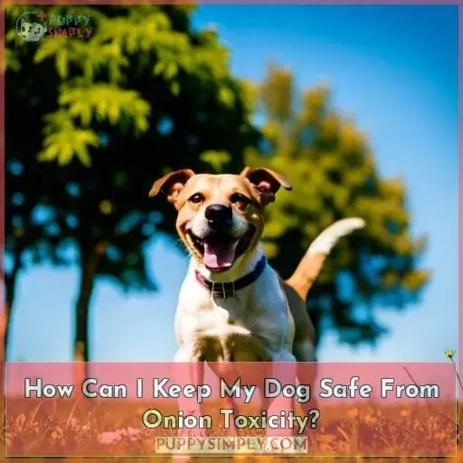 How Can I Keep My Dog Safe From Onion Toxicity?