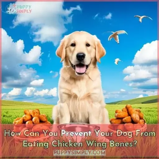 How Can You Prevent Your Dog From Eating Chicken Wing Bones?