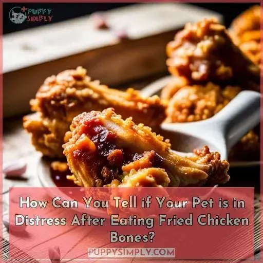 How Can You Tell if Your Pet is in Distress After Eating Fried Chicken Bones?